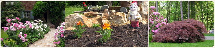 Langley Lawn Care provides professional lawn maintenance, landscaping services, tree & garden care, junk removal and power washing for Langley, Fort Langley, Cloverdale, Walnut Grove and Aldergrove BC.